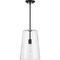 Progress Lighting Clarion Collection Black One-Light Medium Pendant P500242-031 - alternate 3